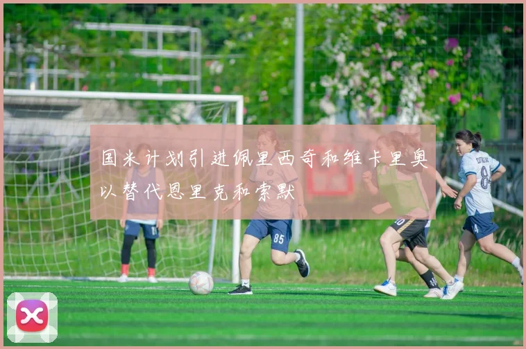 国米计划引进佩里西奇和维卡里奥以替代恩里克和索默