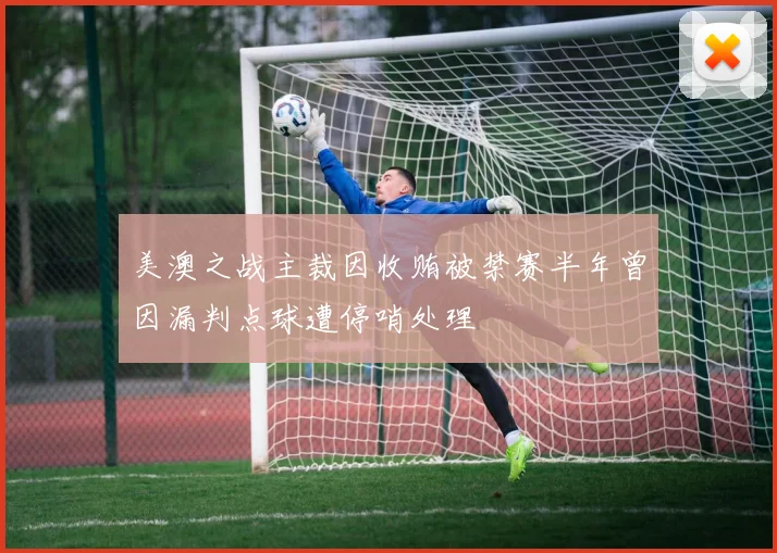 美澳之战主裁因收贿被禁赛半年曾因漏判点球遭停哨处理