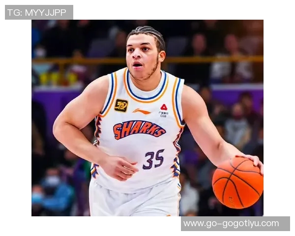 上海男篮兵强马壮王哲林张镇麟洛夫顿古德温弗格领衔全力冲击新赛季